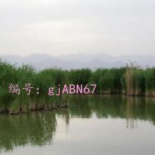 į