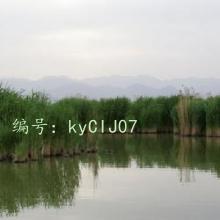į